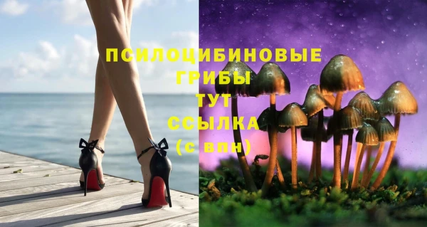 бошки Мегион