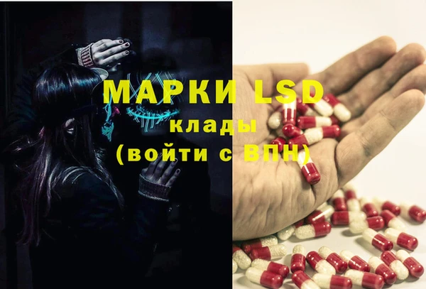 стафф Абинск