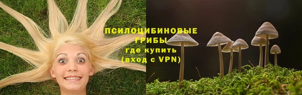 а пвп мука Абаза