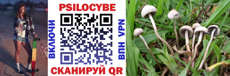 Псилоцибиновые грибы MAGIC MUSHROOMS  Торопец 